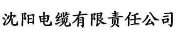 理论片视频网站电缆厂logo